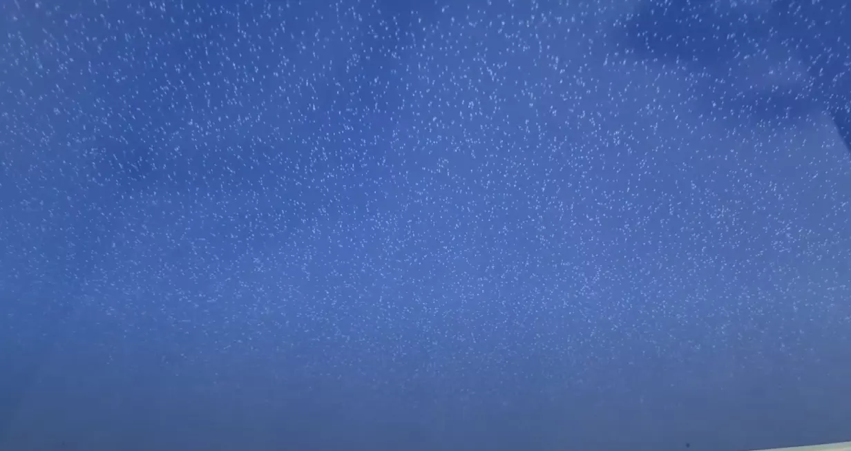 Ростов-на-Дону, проспект Ленина, 235, фото 3