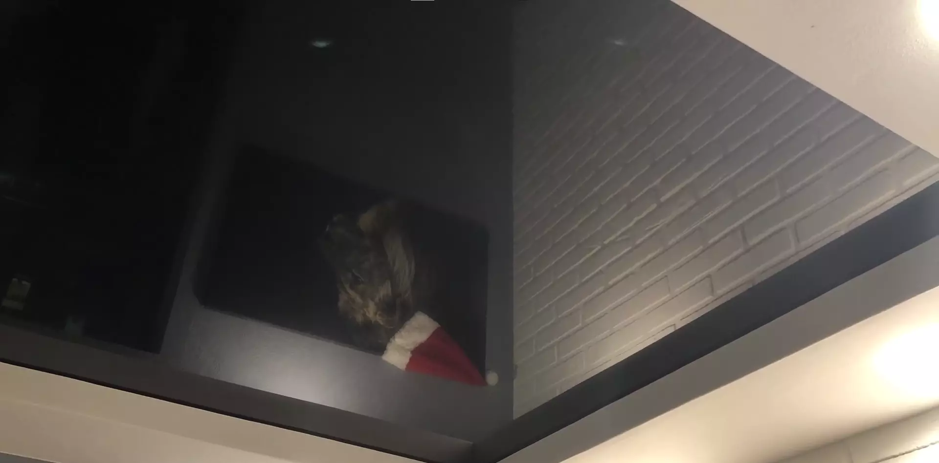 Ростов-на-Дону, Доломановский переулок, 70/3, фото 3