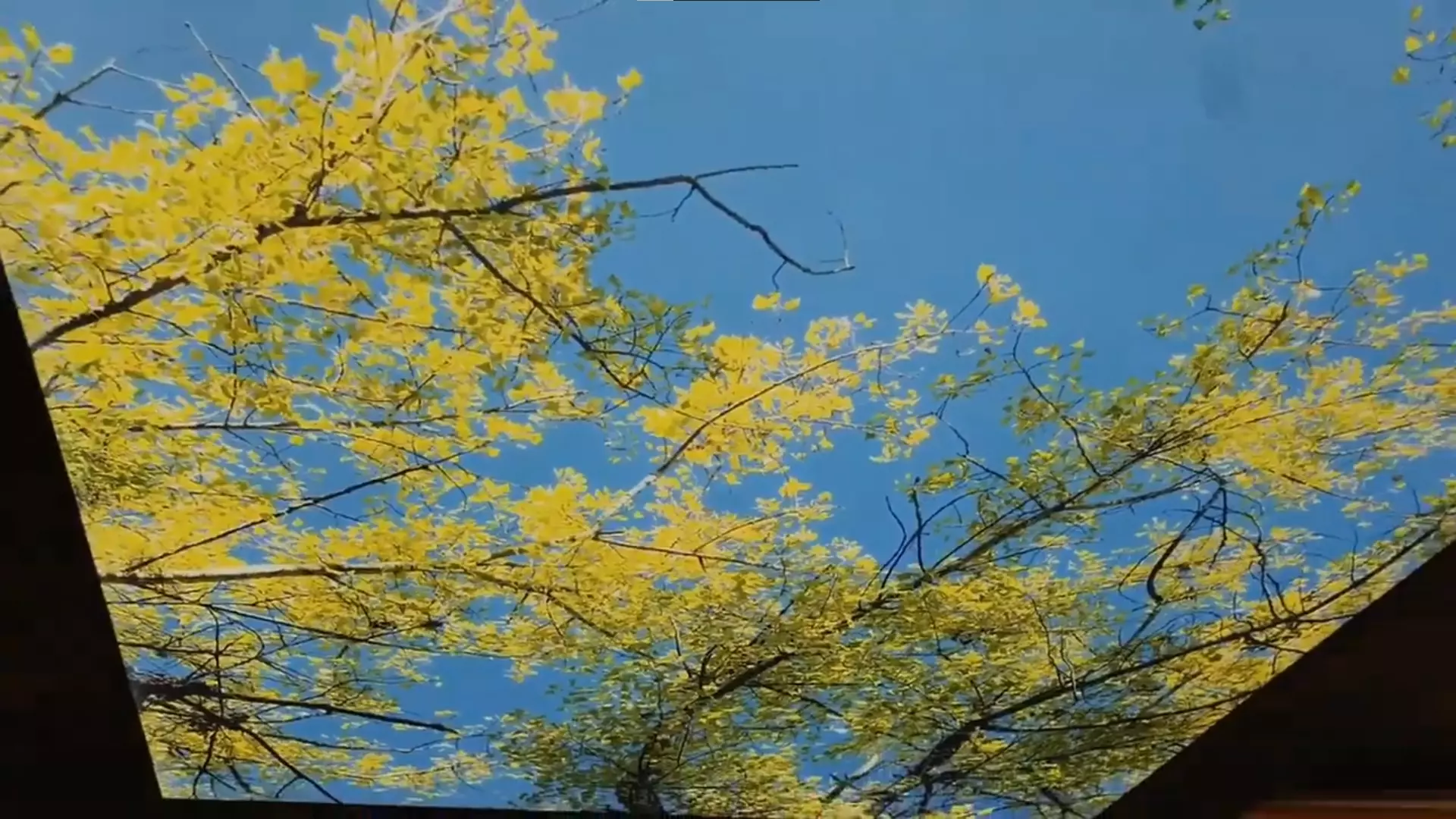 Волгоград, Менжинского, 17, фото 2