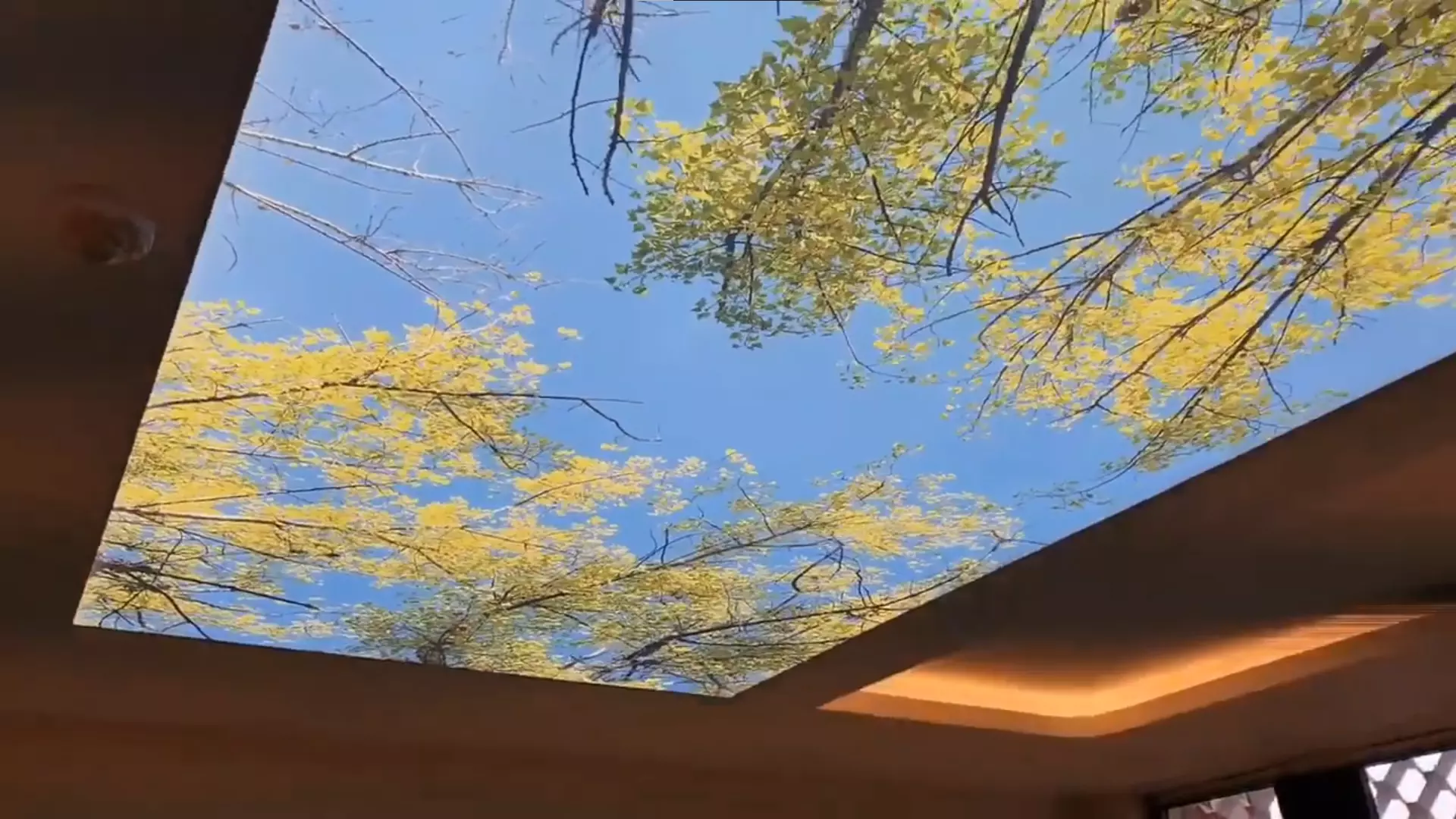 Волгоград, Менжинского, 17, фото 3